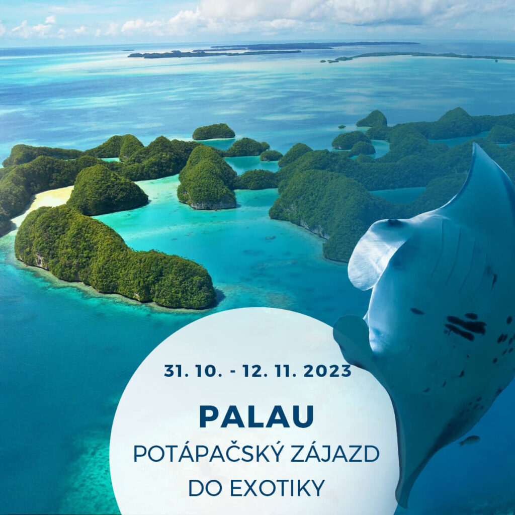 Potápanie na Palau