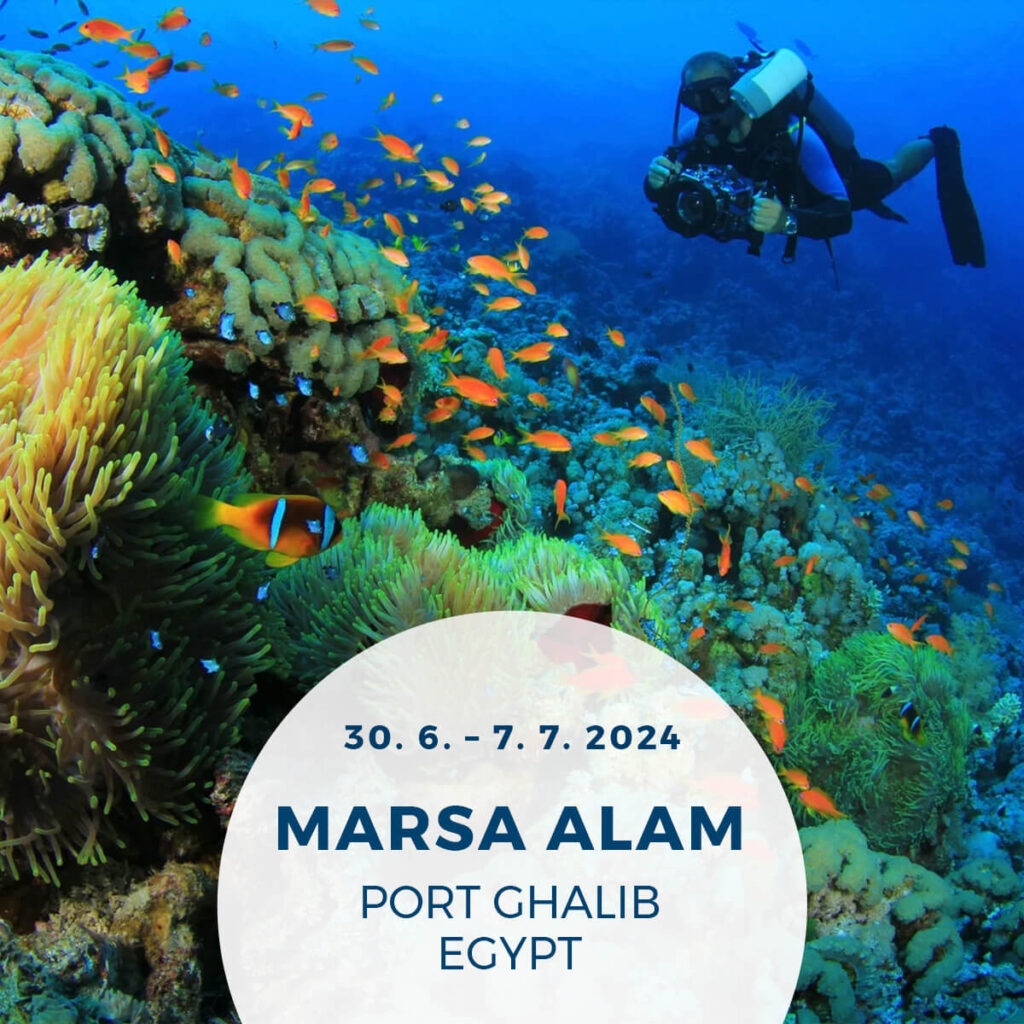 Potápanie v Marsa Alam