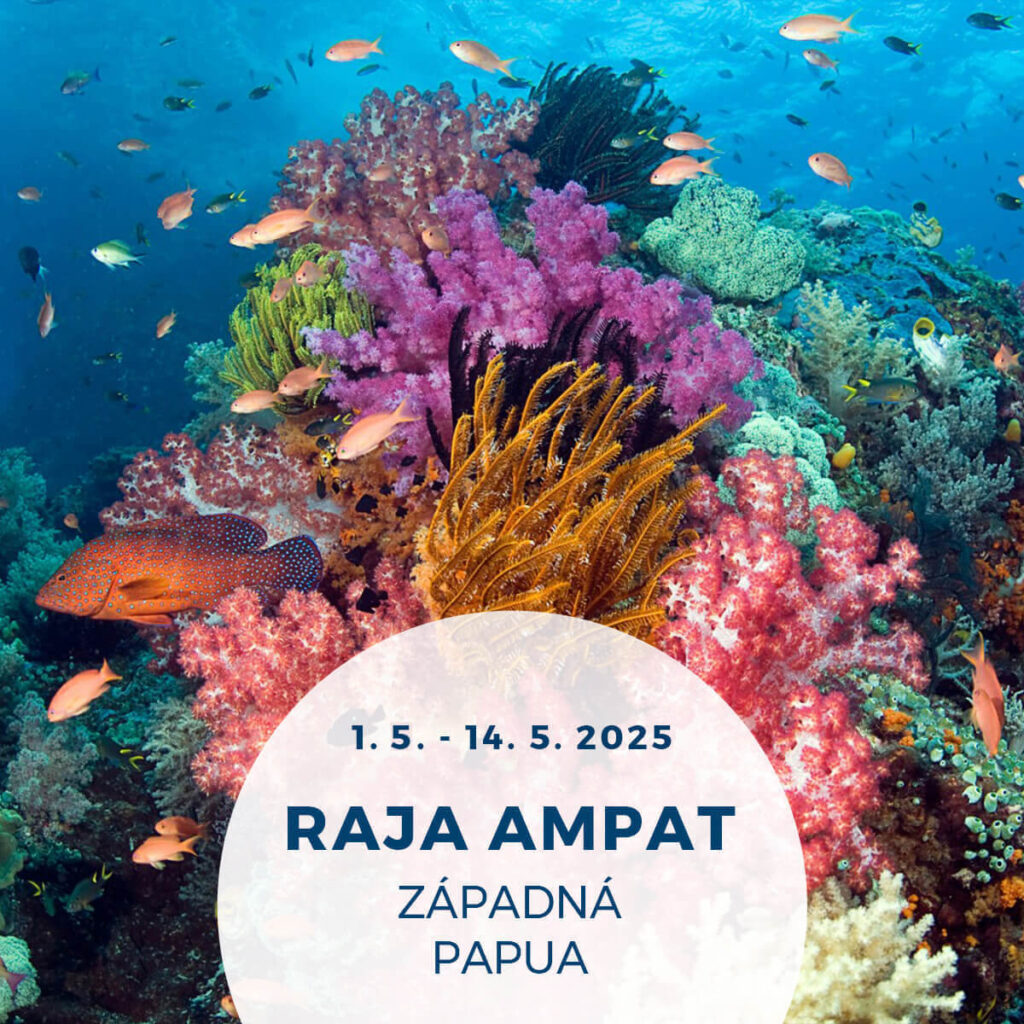 Raja Ampat potápačský zájazd