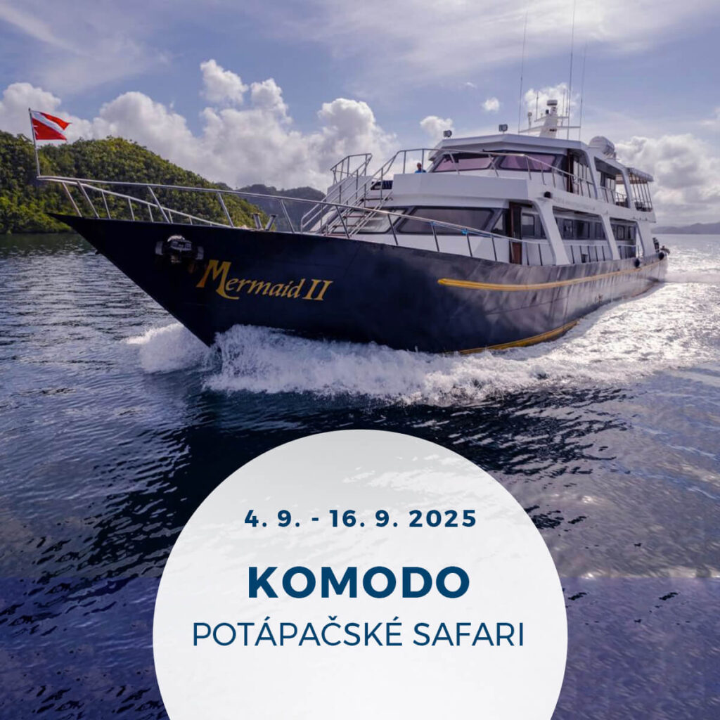 Potápačské safari Komodo